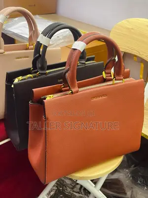 Photo - Charles and Keith Structured Bag