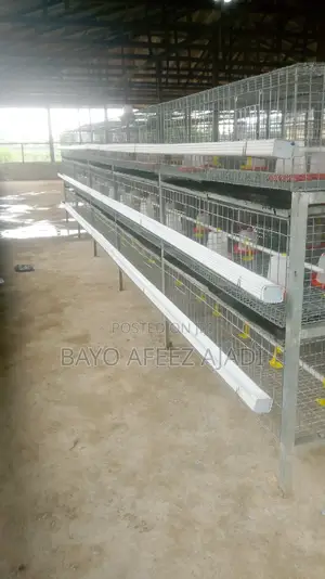 H-Type Battery Cage