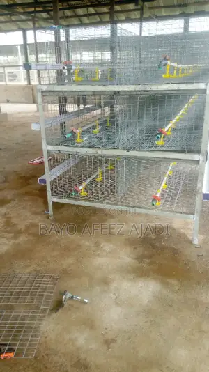 H-Type Battery Cage