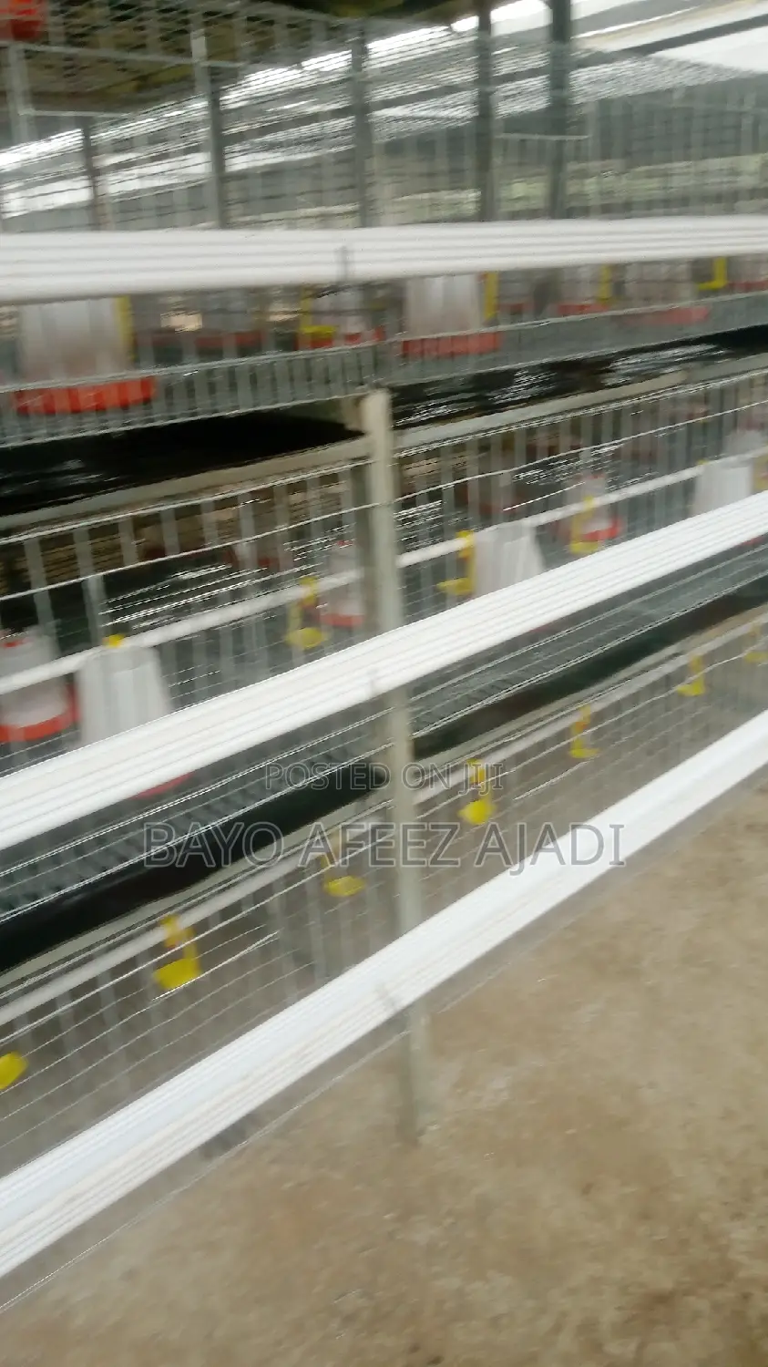 H-Type Battery Cage