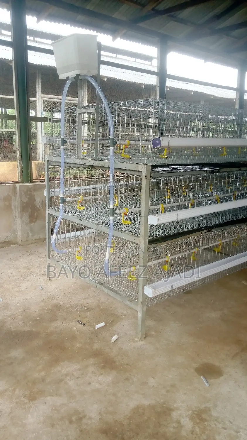 H-Type Battery Cage