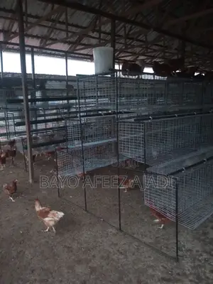 Local Battery Cage