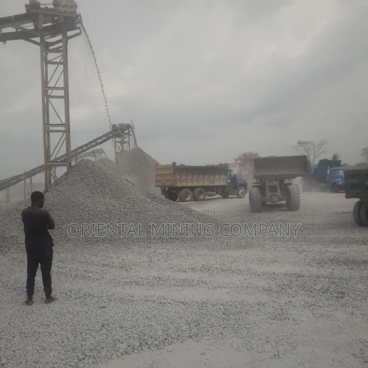 Stone From Oriental Mining Company
