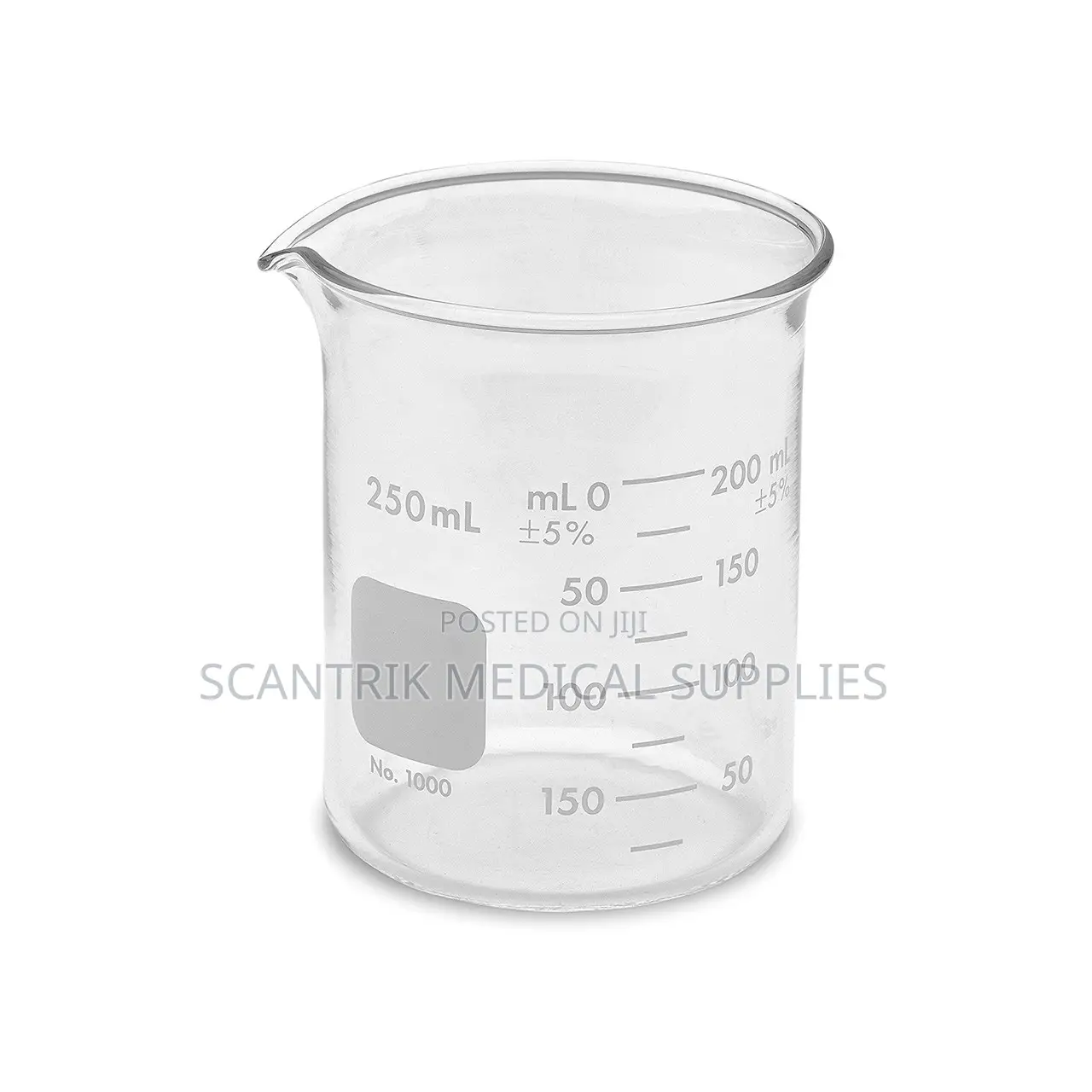 Low Form Glass Beaker