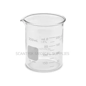 Low Form Glass Beaker