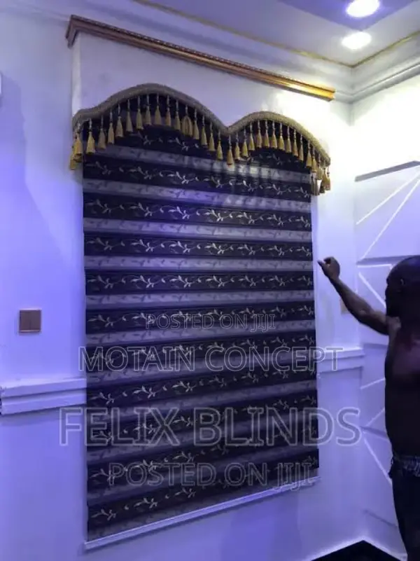 Day and Night Window Blinds