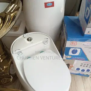 Toilet Sink