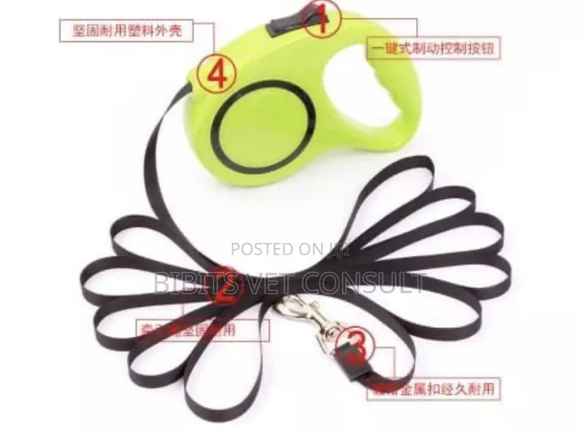 3m/5m Retractable Leash
