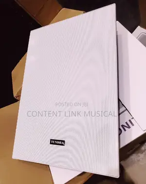 Good Quality Inwall Cinema Speakers