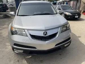 Acura MDX 2010 Silver