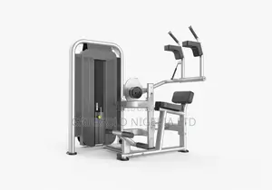 DFT-1616 Commercial Abdominal Machine