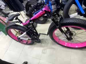 Fat Tire Bicycle