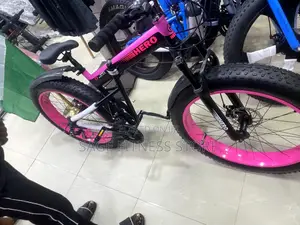 Fat Tire Bicycle