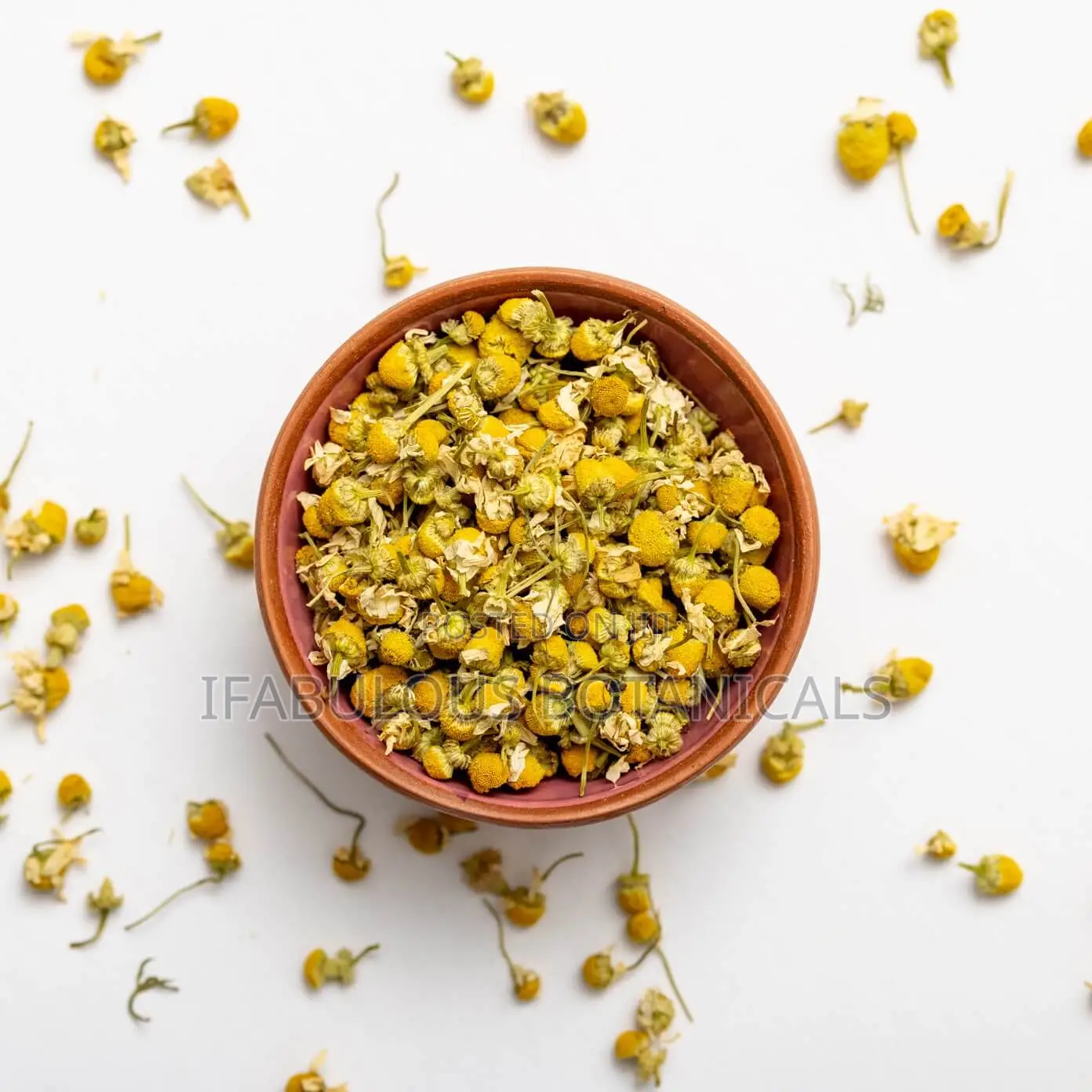 Chamomile Powder