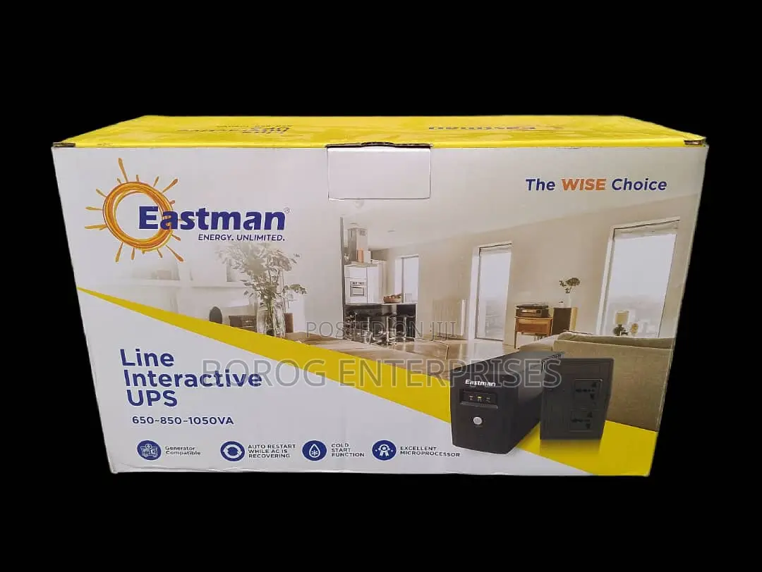 Eastman 850va Line Interactive UPS