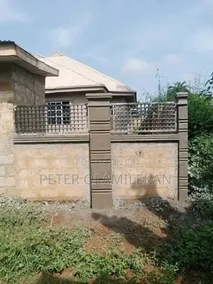 Professional Bricklayer and House Builder