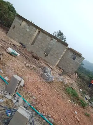Professional Bricklayer and House Builder