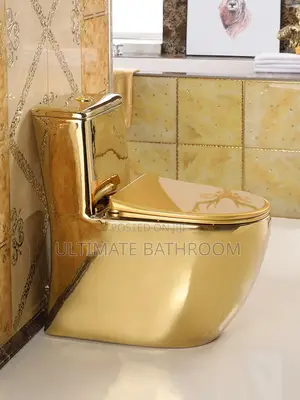 Electroplated Mirror Gold Watercloset