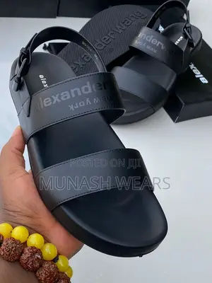 Alexander Wang