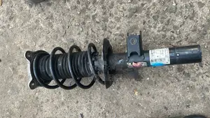 Complete Front Shock