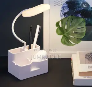 Eye Protective Led Lamp With Stationary Holder