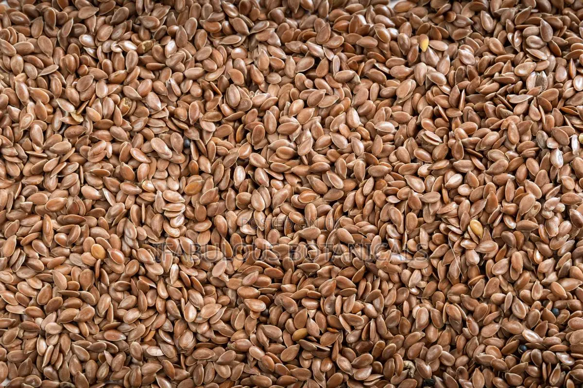 Flax Seeds