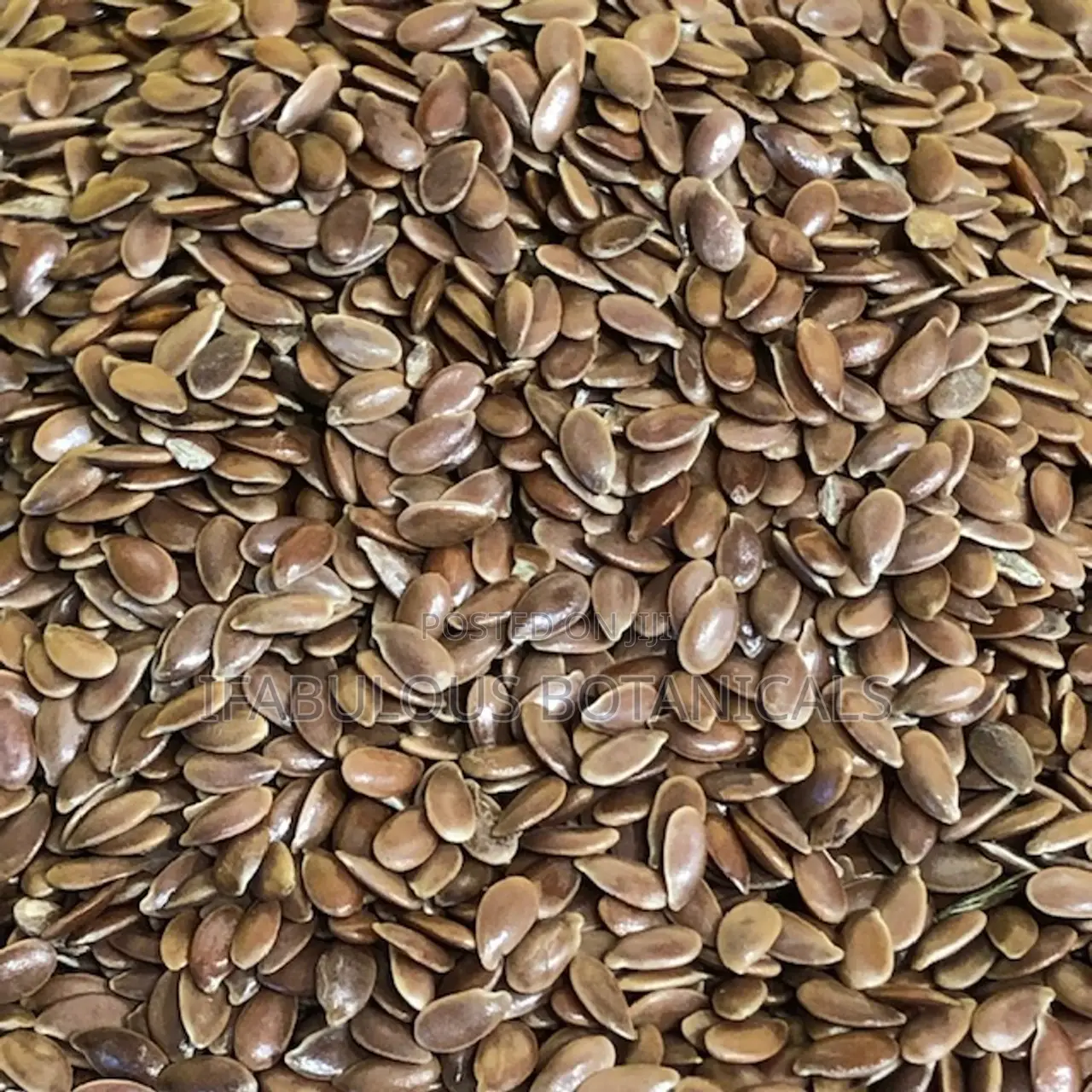 Flax Seeds