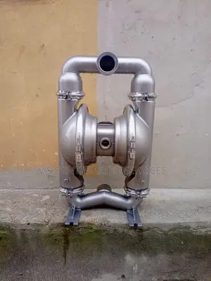 2" Stainless Wilden Pump