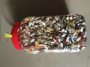 Parrot Food