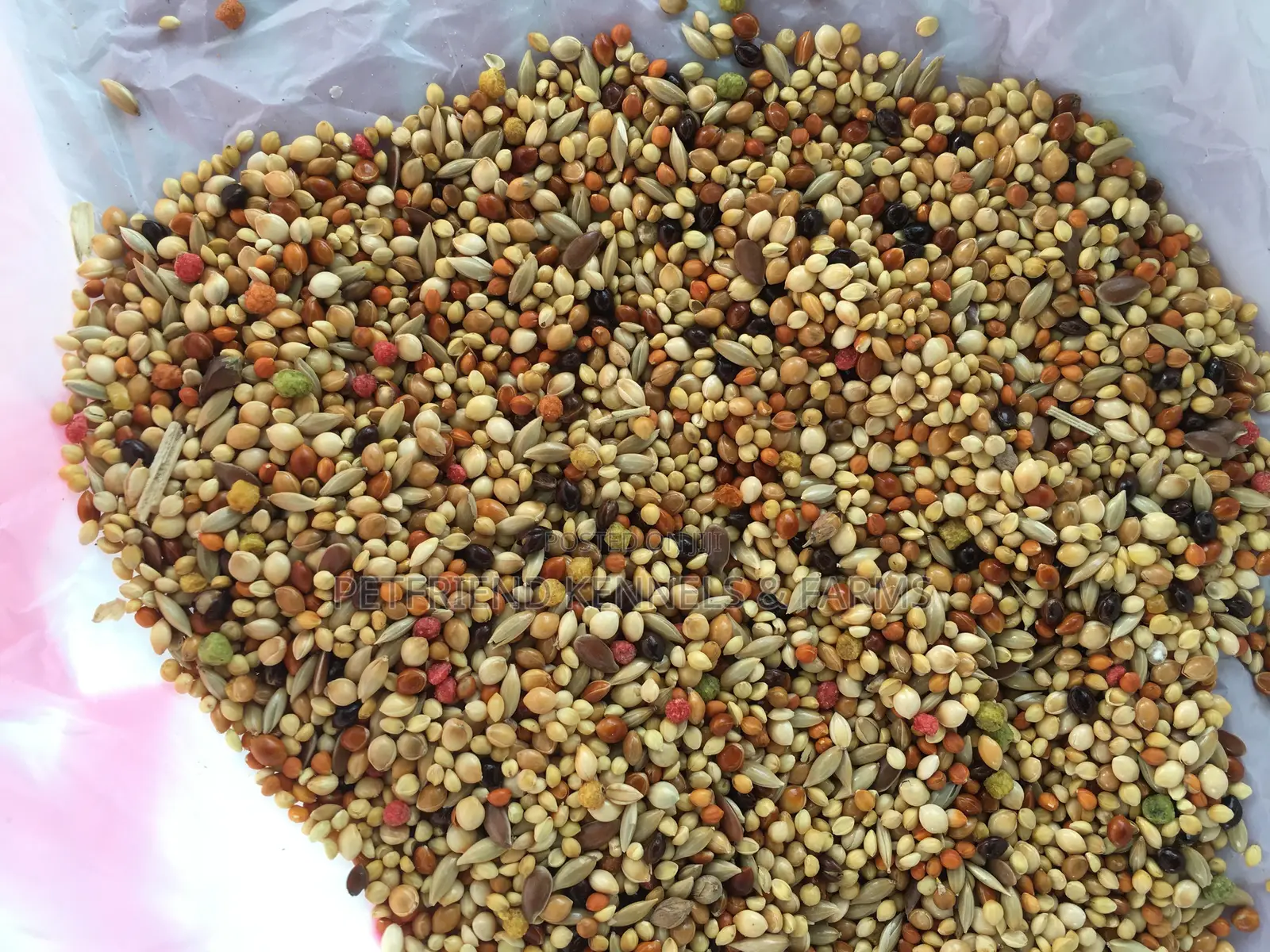 Parrot Food