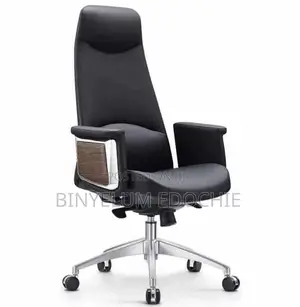 Big Executive Office Chair