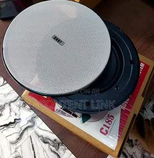 30watts Dart Passive Ceiling/Pop Speakers