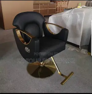 Salon Chair