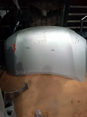 Lexus RX 350 Bonnet Working One 2015 Model