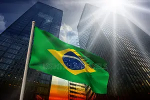Brazil Visa Assistance