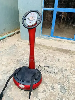 Power Maxx Massager / Vibrator