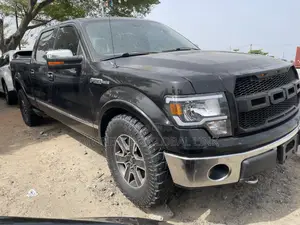 Ford F-150 Platinum 2011 Gray
