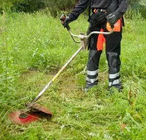 Gasoline Grass Trimmer and Brush Cutter