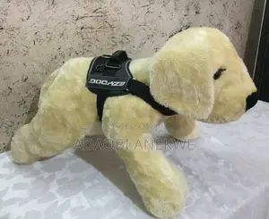 Photo - Big Stuffed Dog