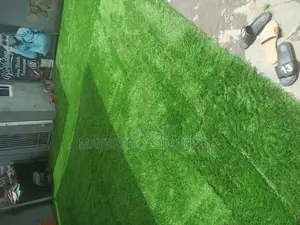 Artificial Grass Cleaning and House Cleaning
