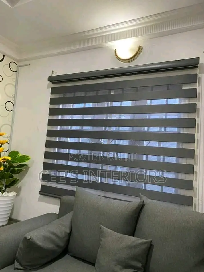 Day and Night Window Blinds.