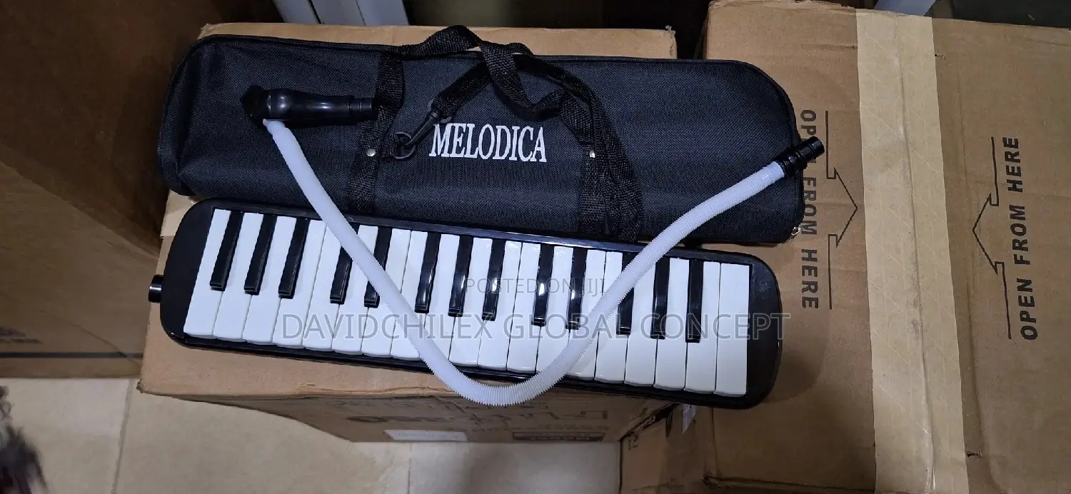 Professional Melodica