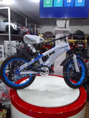 20inch, Great Vision Explorers Bicycle Age 8 to 15years