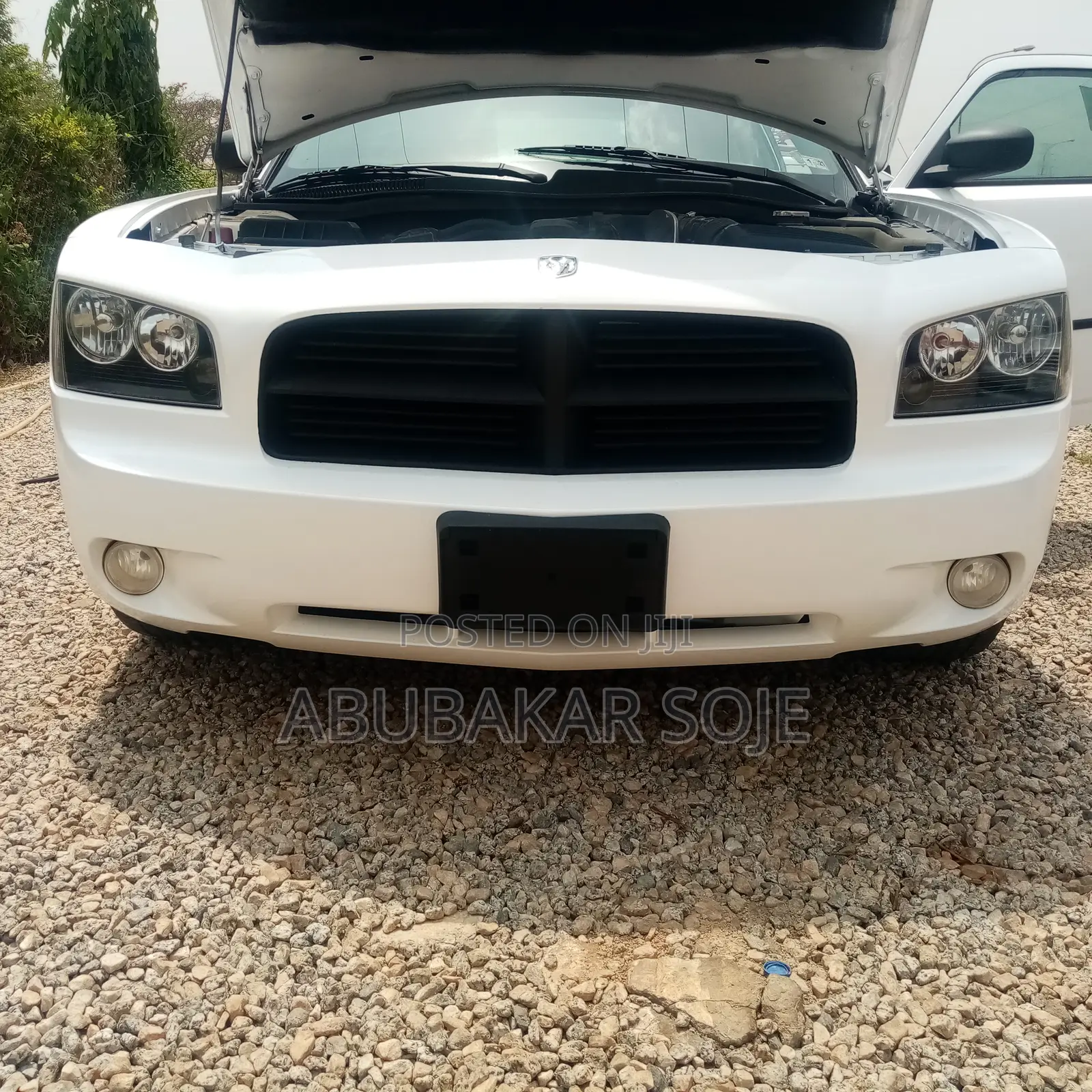 Dodge Charger 2006 White