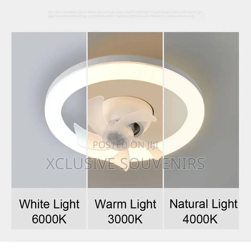 Led Multifunction Fan Light With Remote Control