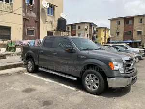 Ford F-150 2014 Gray