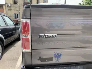 Ford F-150 2014 Gray