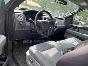 Ford F-150 2014 Gray