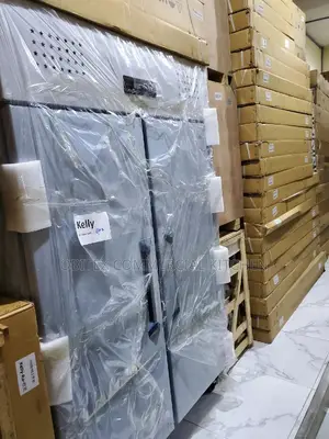 Industrial Standing Double Doors Freezer Is Available 4sale