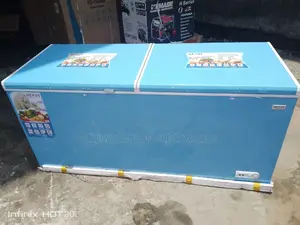 Nexus Low Voltage Deep Freezer 3 Years Warranty